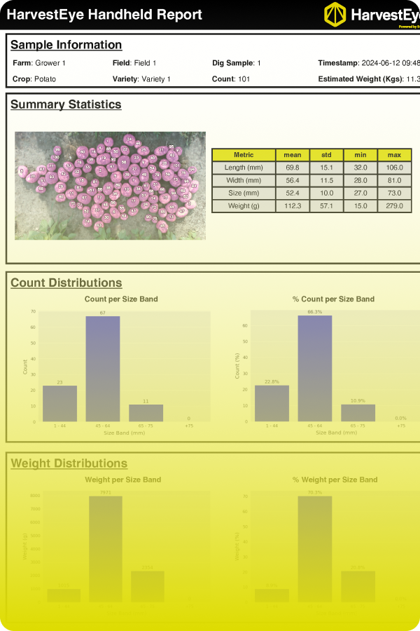 Handheld reports