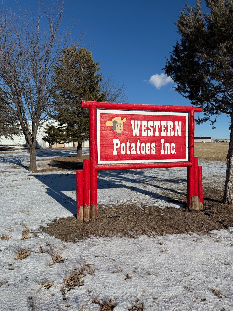 Western Potatoes